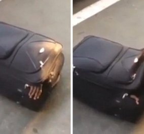 Βίντεο - φωτό: Μετανάστης μπήκε σε βαλίτσα & ταξίδεψε ως την Ελβετία - Δεν άντεξε & άρχισε να φωνάζει 