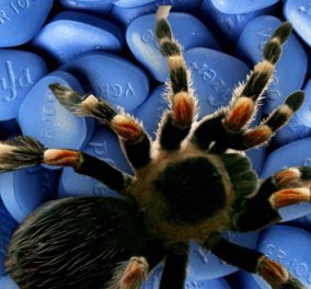 Ανακαλύφθηκε φυσικό βιάγκρα από... δηλητήριο αράχνης - Η μαγική ουσία που θα βοηθήσει εκατοντάδες άντρες