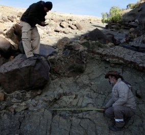 Βρέθηκε η πατούσα ενός τρομερού σαρκοφάγου δεινoσαύρου που έζησε πριν 80 εκ χρόνια - 1,2 μέτρα μήκος
