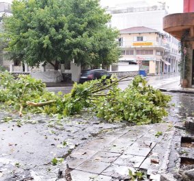 Μπουρίνι σάρωσε τα Τρίκαλα: Ξερίζωσε δέντρα, έκανε ποτάμια τους δρόμους - Φώτο, βίντεο 