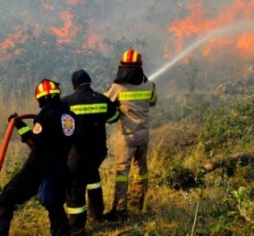 Θρήνος στο πυροσβεστικό σώμα: 49χρονος πυροσβέστης έχασε τη ζωή του στην πυρκαγιά στο Παρόρι Βοιωτίας 