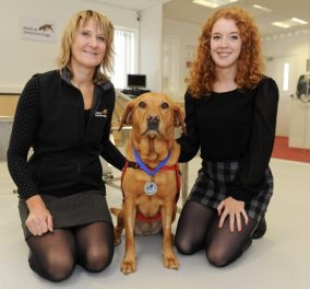 Γνωρίστε την Daisy:  Ο σκύλος που έχει εντοπίσει πάνω από 550 περιπτώσεις καρκίνου – Έσωσε την ζωή του ιδιοκτήτη της