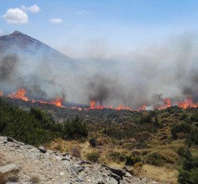 Συνεχίζουν το καταστροφικό έργο τους οι πυρκαγιές σε Εύβοια και Κέα - Πρόβλημα οι ισχυροί άνεμοι