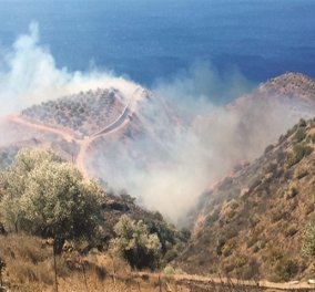 Μάχη με τις φλόγες στην Κρήτη - Απειλεί σπίτια η πυρκαγιά που ξέσπασε στις Βασιλειές Ηρακλείου 