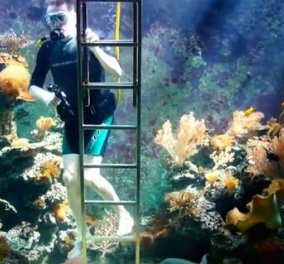 Ιδιόρρυθμος λάτρης του βυθού έφτιαξε ενυδρείο μέσα στο σπίτι του & κολυμπάει με τα ψάρια  