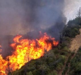 Πύρινος εφιάλτης στην Κάρυστο: Καίγεται δασική έκταση