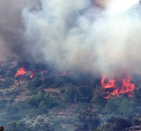 Πύρινος εφιάλτης στην Χίο: 6 τραυματίες - Κάηκαν σπίτια - 2 γυναίκες με σοβαρά εγκαύματα