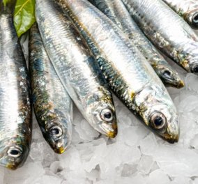 Ακόμα και τα πιο φθηνά ψάρια των ελληνικών θαλασσών είναι πλούσια σε ω-3 λιπαρά: Πόσο περιέχει ο γαύρος, η αθερίνα, η μαρίδα;