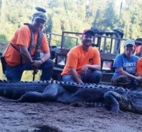 Έπιασαν τεράστιο αλιγάτορα 4 μέτρων - Δείχνουν το "καμάρι" τους στα social media & γίνονται viral   