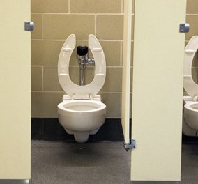 Quiz: Τι μπορείς να βρείς σε μια τουαλέτα στην Αυστραλία; Θηλαστικό, η βοήθεια του κοινού 