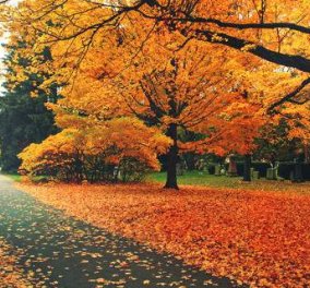Μπαίνει και επίσημα το φθινόπωρο - Την Πέμπτη η φθινοπωρινή ισημερία