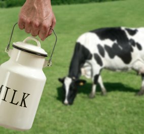 Αποσύρει η Friesland το «Νουνού Εκλεκτό» - Τι συμβαίνει και αγοράζουμε όλο και λιγότερο γάλα;