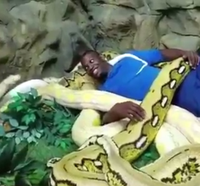 Βίντεο: Ο νεαρός που κοιμάται... ήσυχα παρέα με γιγάντια φίδια - Ζει ακόμη  
