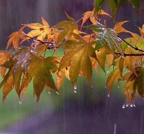 Πτώση της θερμοκρασίας & τοπικές βροχές την Τετάρτη - Δείτε αναλυτικά την πρόβλεψη της ΕΜΥ