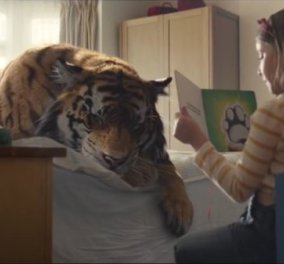 H WWF δημιούργησε την πιο συγκινητική χριστουγεννιάτικη διαφήμιση: Οικογένεια βρίσκει πληγωμένη τίγρη και...