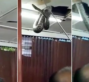 Βίντεο: Η τρομερή στιγμή που τεράστιο φίδι ''σκάει'' στα κεφάλια πεινασμένων πελατών σε εστιατόριο