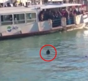 Σοκαριστικό βίντεο: Μετανάστης πνίγεται στο Μεγάλο Κανάλι της Βενετίας -Τον βλέπουν και δεν αντιδρούν   