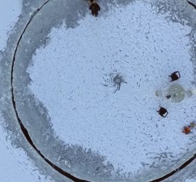 Βίντεο: Δείτε αυτό το αυτοσχέδιο καρουζέλ στον πάγο - Χρειάστηκε μόνο έμπνευση & 1 αλυσοπρίονο 