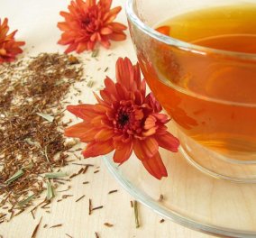 Τσάι κόκκινο Rooibos: Tο βότανο της Νότιας Αφρικής με 10 αντιοξειδωτικά - Ευεργετικό χωρίς καφεΐνη