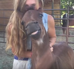 Βιντεάκι : Αυτό το άλογο χαμογελάει και έχει.... αισθήματα όταν το χαϊδεύουν