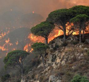 Απίστευτο: Εθελοντές πυροσβέστες έβαζαν φωτιές για να πληρώνονται να τις σβήσουν