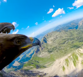 Εντυπωσιακό βίντεο: Πτήση μαζί με έναν αετό πάνω από τις Άλπεις 
