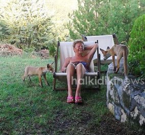 Απίστευτες εικόνες: Τρία μικρά αλεπουδάκια σαν κατοικίδια σε σπίτι στη Χαλκιδική 
