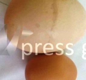 Αυγό γίγας ή αυγό " μπαμπούσκα" στη Ναυπακτία: είχε και δεύτερο αυγό στο εσωτερικό του!  (βίντεο)