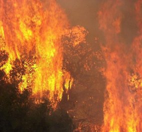 Δραματικές στιγμές στη Ζάκυνθο: Κινδύνεψαν άνθρωποι, κάηκαν περιουσίες - συγκλονιστικές φωτό & βίντεο