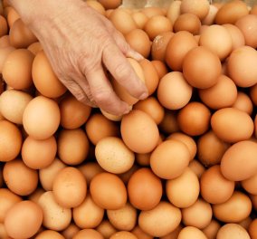 Ανακαλούνται εκατομμύρια μολυσμένα αυγά σε Γερμανία, Ολλανδία, Βέλγιο: τοξικά με υψηλά επίπεδα επικίνδυνου εντομοκτόνου