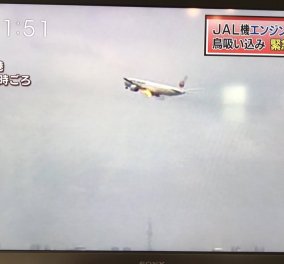 Αναγκαστική προσγείωση αεροσκάφους στο αεροδρόμιο του Τόκιο άρπαξε φωτιά από πουλί που μπήκε στον κινητήρα