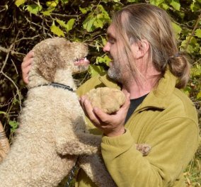 Βρέθηκε η μεγαλύτερη λεύκη τρούφα στην Ελλάδα - ο σκυλάκος Brio ανακάλυψε & ζυγίζει 510 γραμμάρια 