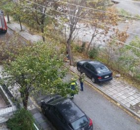Προβλήματα και στη Βόρεια Ελλάδα από την κακοκαιρία- Ξεριζώθηκαν δέντρα- Εκατοντάδες κλήσεις στην πυροσβεστική (ΦΩΤΟ)