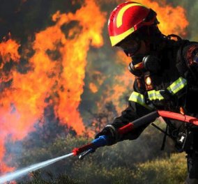 Οι φωτιές στην Ελλάδα από το 1980 ως το 2016 - 53.983 πυρκαγιές μέσα σε 36 χρόνια