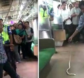 Βίντεο: Η τρομακτική στιγμή που ένας τολμηρός Ινδός τραβάει τεράστιο φίδι μέσα από το τρένο
