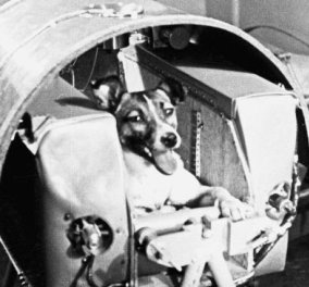 60 χρόνια... όταν η Λάικα πήγε στο διάστημα - Ο πρώτος ζωντανός «κοσμοναύτης» του πλανήτη (ΒΙΝΤΕΟ)