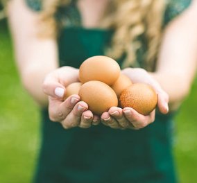Δείτε τι μπορεί να συμβεί αν βάλετε βραστά αυγά σε φούρνο μικροκυμάτων (ΒΙΝΤΕΟ) 