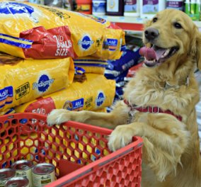 Βίντεο: Μόνο καφέ δεν φτιάχνει αυτός ο γλυκούλης - Υπέροχος σκυλάκος ψωνίζει στο σούπερ μάρκετ και... πληρώνει στο ταμείο!