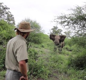 Το βίντεο της ημέρας: Ελέφαντας τρέχει προς το μέρος ενός ανθρώπου γεμάτος νεύρα! 