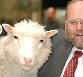 Πως και γιατί οι επιστήμονες λένε ότι η σκλήρυνση κατά πλάκας συνδέεται με τα πρόβατα;