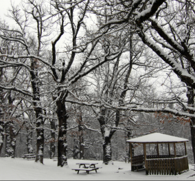 Καρέ - καρέ η ιστορική χιονοθύελλα που έσπασε κάθε ρεκόρ στην Πενσυλβάνια 