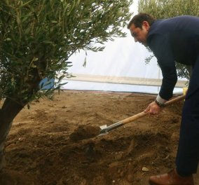 Ο Αλέξης Τσίπρας πήρε φτυάρι & φύτεψε δέντρο στο Μουσείο Ολοκαυτώματος - ΦΩΤΟ & ΒΙΝΤΕΟ