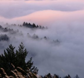 Μοναδικό travel βίντεο: Ας ταξιδέψουμε σε μυστηριώδη τοπία με ομίχλη σε ένα υπέροχο timelapse!