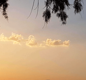 H λεβεντογέννα Κρήτη σαν σύννεφο πάνω από παραλία της Αττικής! Δείτε φώτο