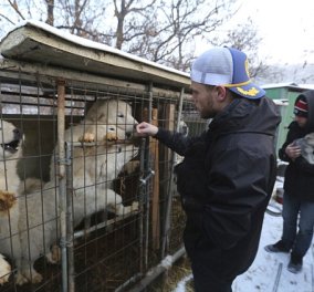 Ολυμπιακός σκιέρ μαζί με τον σύντροφο του έσωσαν 90 κουτάβια: Έκλεισαν σφαγείο σκύλων της Ν. Κορέας (ΦΩΤΟ - ΒΙΝΤΕΟ)  