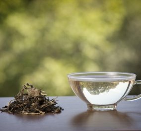 Γιατί τo άσπρο τσάι είναι η "βασίλισσα των τσαγιών": Ντελικάτο, καίει τα λίπη, όπλο για την αντιγήρανση   