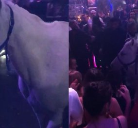 Σε κλαμπ στο Μαϊάμι προσθέσουν στο show τους ένα άλογο κι εκείνο τους εκδικήθηκε (ΒΙΝΤΕΟ) 