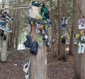  Θρίλερ ή παραξενιά; Ένα δάσος γεμάτο παπούτσια κρεμασμένα στα δέντρα  