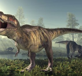 Αποτυπώματα δεινοσαύρου ηλικίας 170 εκατ. ετών βρέθηκαν στο νησί Skye της Σκωτίας! (ΒΙΝΤΕΟ)