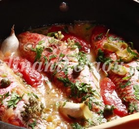 Μπαρμπούνια στο τηγάνι με ντομάτα & κάππαρη από την υπέροχη Ντίνα Νικολάου